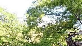 La estatua infantil se ubica entrando por 74 St con 5 Av