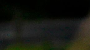 Grupos de personas sin máscaras y sin seguir el distanciamiento social en el Parque Central de NY.