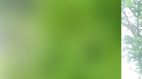 Los tres miembros de la familia fallecidos vivían en el sur de la Florida.