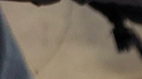 El maestro ayudó a tres familias.