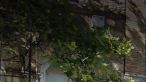 La Paz Funeral Home, Mott Haven, NYC