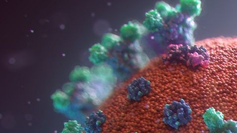 El coronavirus puede detectarse hasta 2 y 3 días en plástico y acero inoxidable.