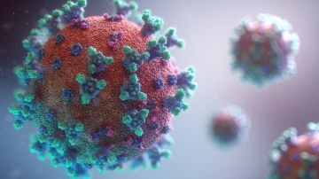 El coronavirus puede detectarse hasta 2 y 3 días en plástico y acero inoxidable.