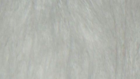 Foto: Shanon/Pixabay. Algunas actividades pueden ayudar a tu felino a que se adapte a las actuales circunstancias de vida por la cuarentena.