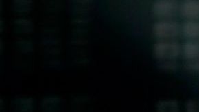 La imagen fue compartida por la periodista Jessica Maldonado a través de su cuenta de Instagram.