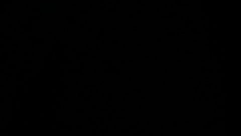 Decenas de millones de estadounidenses tendrían que esperar más tiempo para obtener la asistencia.