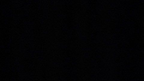 Gavin Newsom gobernador de California.