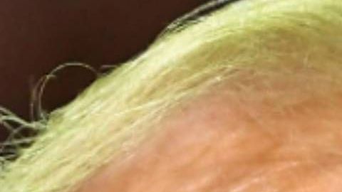 Trump y el senador McConnell