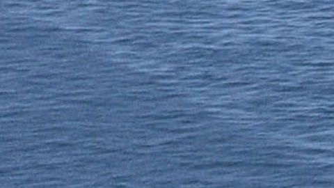 USS Theodore Roosevelt  es un buque nuclear.