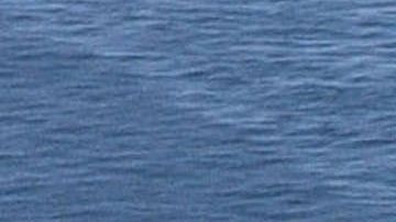 USS Theodore Roosevelt  es un buque nuclear.