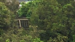 Como medida ante la contingencia por coronavirus, ningún auto podrá circular en la CDMX aún si es nuevo o eléctrico.