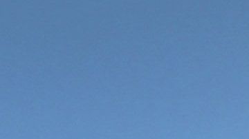 Activistas temen que el reconocimiento facial de licencias se usa para deportaciones.