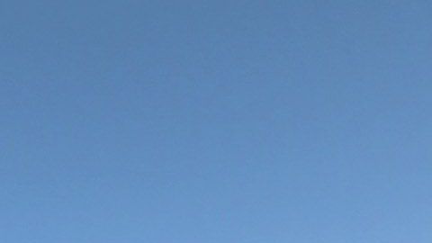 Activistas temen que el reconocimiento facial de licencias se usa para deportaciones.