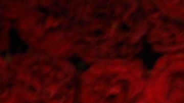 Oprah Winfrey y Stedman Graham