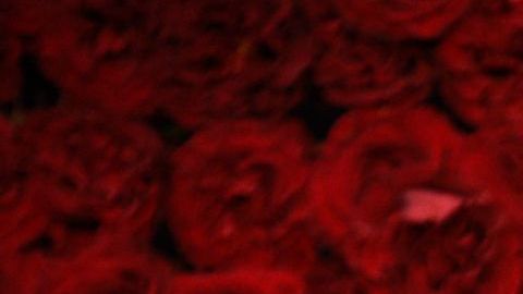 Oprah Winfrey y Stedman Graham