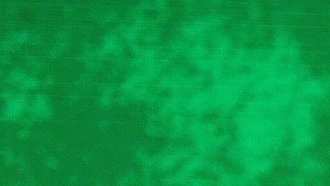 El peleador de MMA mexicano, Caín Velásquez tuvo un humillante debut al ser rendido por Brock Lesnar.