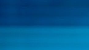 Gates cree que con estos pasos, mucha gente se salvará.