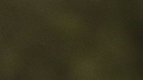 Cerrado por COVID-19.