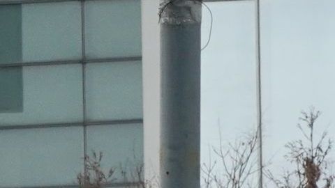 Nueva York prepara morgues para enviar cuerpos de fallecidos.