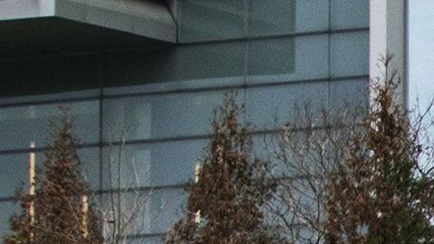 Una morgue improvisada frente al Hospital Bellevue en la ciudad de Nueva York.