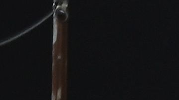 El gobierno federal añadió $1,000 millones de dólares al seguro de desempleo.