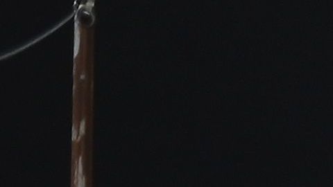 El gobierno federal añadió $1,000 millones de dólares al seguro de desempleo.