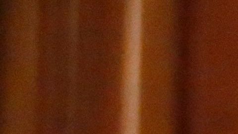 Tag Texas coronavirus empresas Greg Abbott orden ejecutiva COVID-19 economía