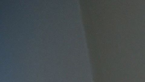 Zoom zoombing coronavirus plataforma hackers fraude