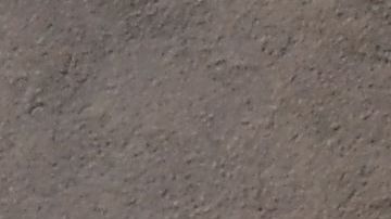 Nueva York es la entidad con más casos de coronavirus en el país.