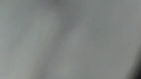 La campaña tiene el objetivo de fomentar el compañerismo entre las personas que están viviendo la cuarentena.