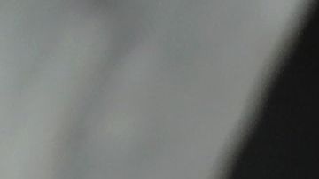 La campaña tiene el objetivo de fomentar el compañerismo entre las personas que están viviendo la cuarentena.