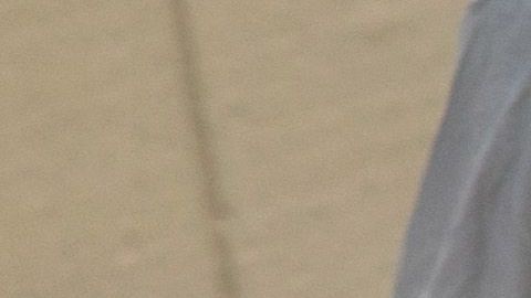 El pico de la pandemia en EEUU está proyectado para mediados de mes.