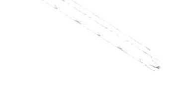 Gimnasios y arenas podrían abrir sus puertas para recibir de forma escalonada a jugadores de la NBA.