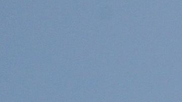 Docenas de cruceros están alineados en Port Miami y Port Everglades o esperan en alta mar debido a la pandemia de coronavirus.