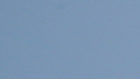 Docenas de cruceros están alineados en Port Miami y Port Everglades o esperan en alta mar debido a la pandemia de coronavirus.