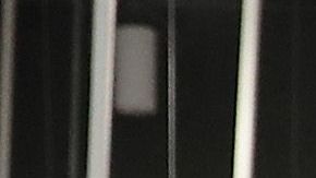 Los especialistas esperan que durante las siguientes semanas las compras de pánico disminuyan.