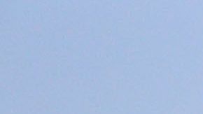 Sin gente y en campos de primavera como propuesta para inicio de temporada de Ligas Mayores.