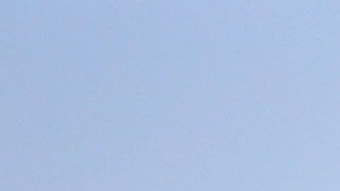 Sin gente y en campos de primavera como propuesta para inicio de temporada de Ligas Mayores.