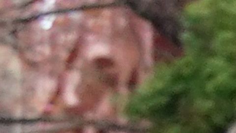 Personas en fila para comprar alimentos en Nueva York.