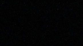 parejas de dennis rodman