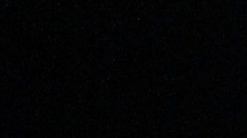 parejas de dennis rodman