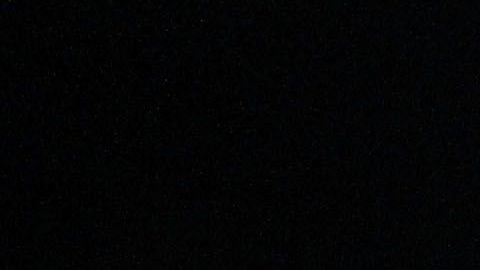 parejas de dennis rodman