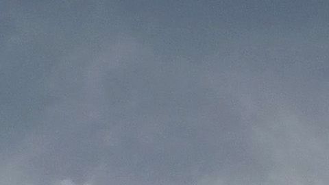 Apoyarán a la gente que opera el Yankee Stadium.