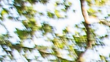 New Survey Names Brooklyn As Most Unaffordable Place To Live In U.S.