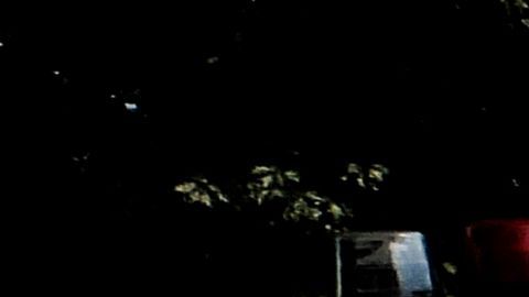 NYPD tiene mayor presencia en parques.