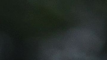 El caso ocurrió en Newark, Nueva Jersey