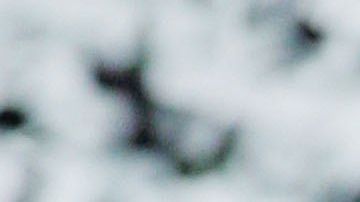 Cannavaro fue el capitán de la selección italiana que ganó la Copa del Mundo en el 2006.