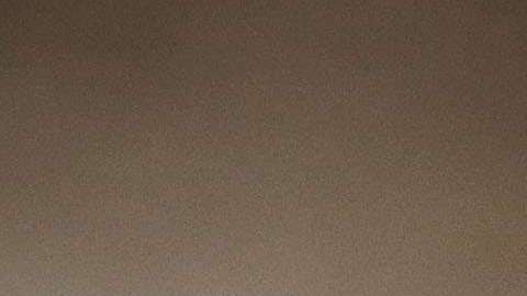 El bromista se hizo pasar por Jared Kushner.