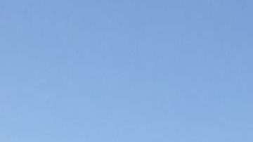 American Airlines figura entre las aerolíneas en contra de la separación de familias.