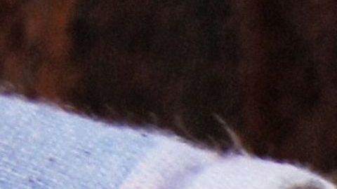 MEXICO-US-BORDER-MIGRANTS-RIGHTS